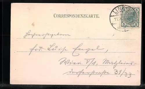 AK Linz a. d. Donau, Ortsansicht mit Blick vom Bauernberg