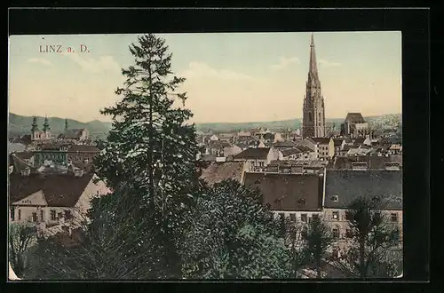 AK Linz a. d. Donau, Blick vom Grünen zum Dom