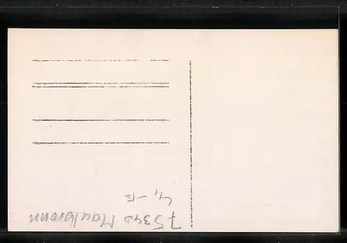 Foto-AK Maulbronn, Ortspartie mit Fachwerkhäusern