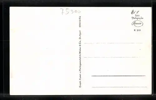 AK Neuenbürg /Württ., Partie in der Vorstadt