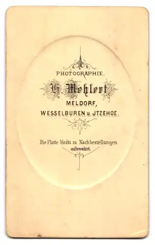 Fotografie H. Mehlert, Meldorf, Junge Frau mit Samthalsband