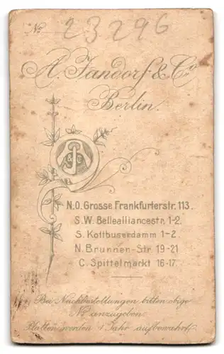 Fotografie A. Jandorf & Co., Berlin-NO, Grosse Frankfurterstr. 113, Junge Dame im hübschen Kleid