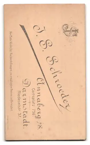 Fotografie J. S. Schroeder, Annaberg i /S., Carlsplatz 756, Junge Dame mit Hochsteckfrisur und Kreuzkette