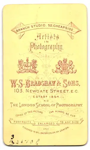 Fotografie W. S. Bradshow & Sons, London-EC, 103, Newgate Street, Junge Dame im zeitgenössischen Kleid