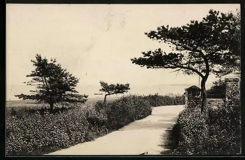 Fotografie H. Rubin & Co., Dresden-Blasewitz, Ansicht Timmendorfer Strand, Blick von der Promenade