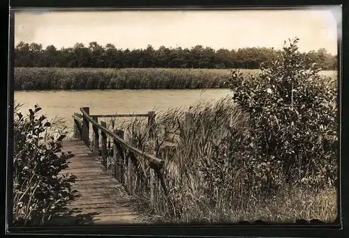 Fotografie unbekannter Fotograf, Ansicht Prerow / Darss, Steg am Bodden