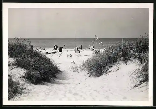 Fotografie unbekannter Fotograf, Ansicht Prerow / Darss, Strandbad von den Dünen gesehen
