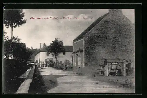 AK Chamoux, Une Rue, Ferrage d'un boeuf