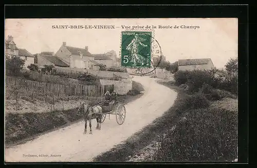 AK Saint-Bris-le-Vineux, Vue prise de la Route de Champs
