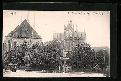 AK Erfurt, St. Pferdekutsche vor der Severikirche, Dom von der Westseite