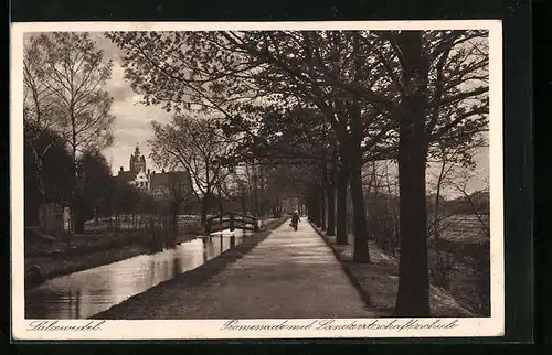 AK Salzwedel, Promenade mit Landwirtschaftsschule