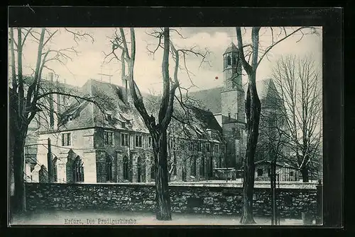 AK Erfurt, Die Predigerkirche im Frühjahr