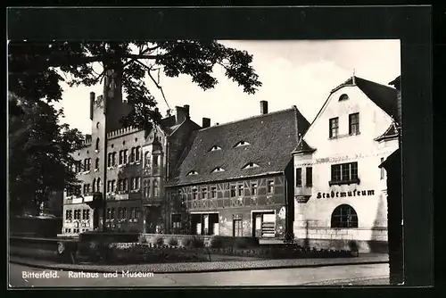 AK Bitterfeld, Rathaus und Museum