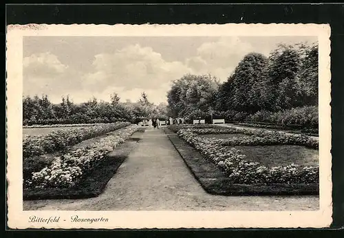 AK Bitterfeld, Rosengarten