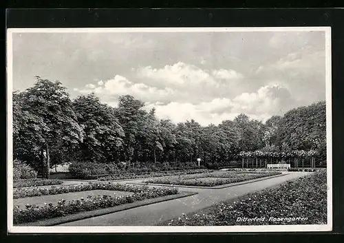 AK Bitterfeld, Rosengarten