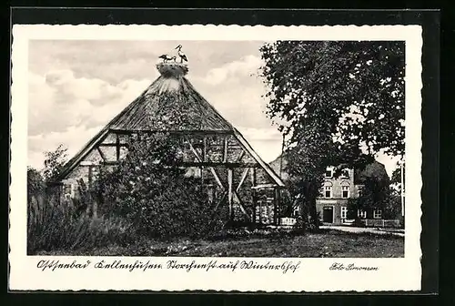 AK Kellenhusen, Storche auf Reetdachhaus