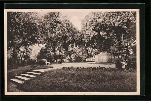 AK Pretzsch /Elbe, Partie im Kurpark mit Bänken