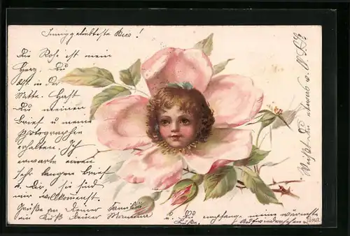 Lithographie Kopf eines kleinen Mädchens wächst aus einer Blume, Metamorphose
