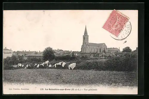 AK La Boissière-sur-Evre, Vue generale