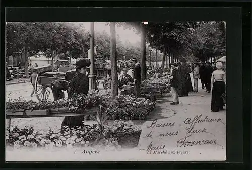 AK Angers, Le Marché aux Fleurs