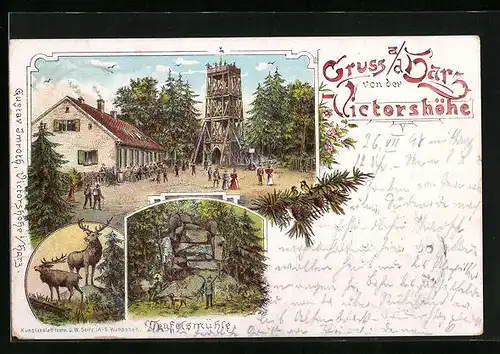 Lithographie Stolberg im Harz, Gasthaus an der Victorshöhe, Teufelsmühle, Rothirsche