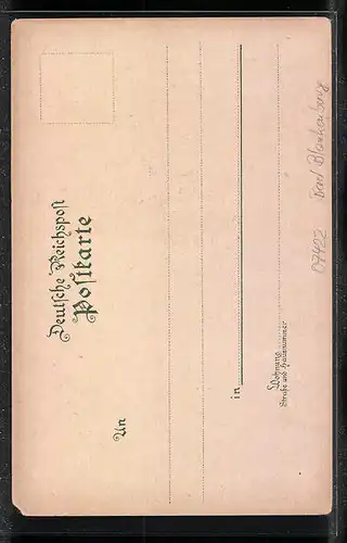 Lithographie Bad Blankenburg, Blick zur Ruine Greifenstein