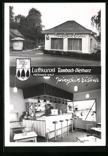 AK Tambach-Dietharz, Pinguin Eisbar