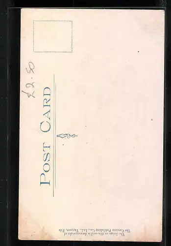 Künstler-AK Cynicus: Dorking Matrimonial Sketches