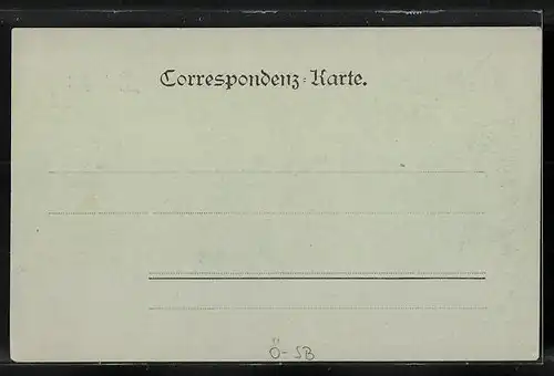 Mondschein-AK Bad Gastein, Gesamtansicht