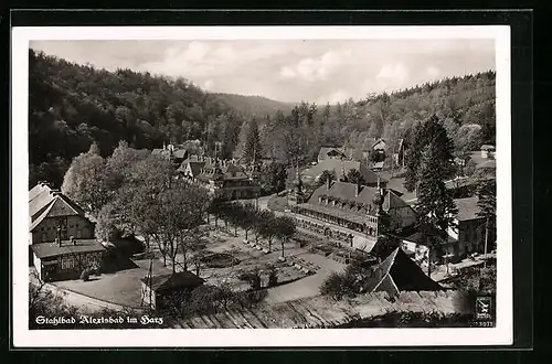 AK Alexisbad / Harz, Blick zum Stahlbad