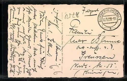 AK Schwerin i. M., Dom, Palais, Theater und Schloss