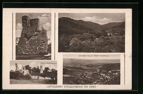 AK Stecklenberg / Harz, Lauenburg, Ruine & Panorama