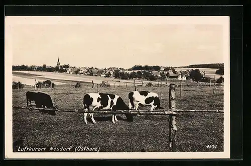 AK Neudorf / Ostharz, Panorama mit Kuhweide