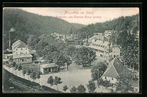 AK Alexisbad / Harz, Panorama vom Eisernen Kreuz gesehen