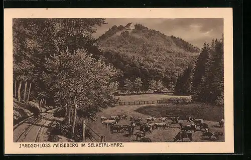 AK Meiseberg im Selktal / Harz, Blick zum Jagdschloss