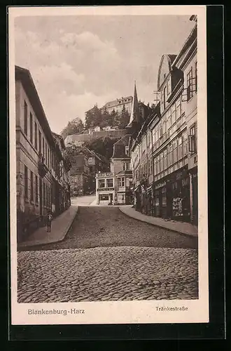 AK Blankenburg / Harz, Blick in die Tränkestrasse