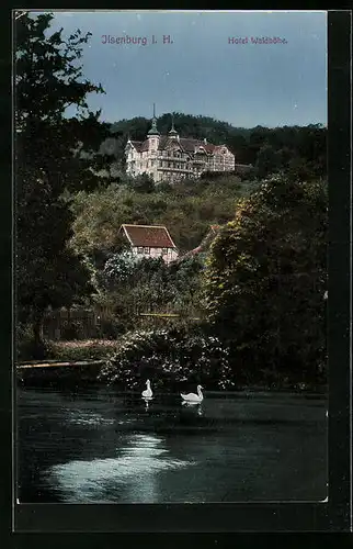 AK Ilsenburg i. H., Hotel Waldhöhe