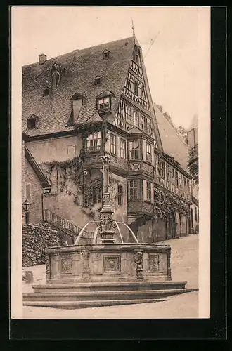 AK Miltenberg, Haus Miltenberg mit Marktbrunnen