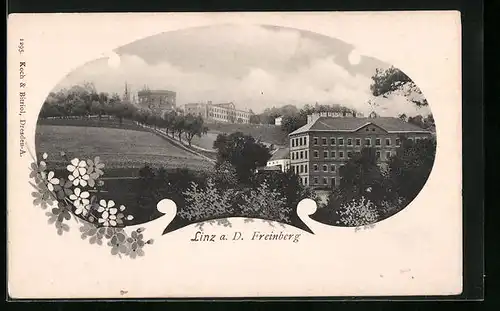 AK Linz a. D., Blick auf den Freinberg