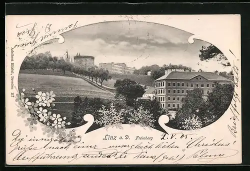 AK Linz a. D., Partie auf dem Freinberg