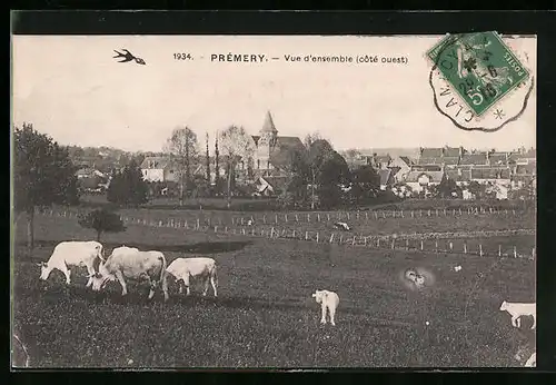 AK Prémery, Vue d'ensemble