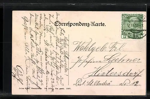 AK Wr. Neustadt, Panorama