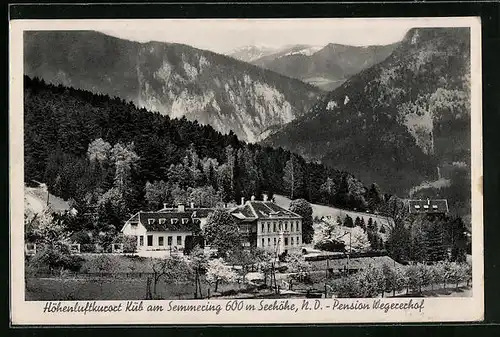 AK Küb am Semmering, Blick zur Pension Wegererhof