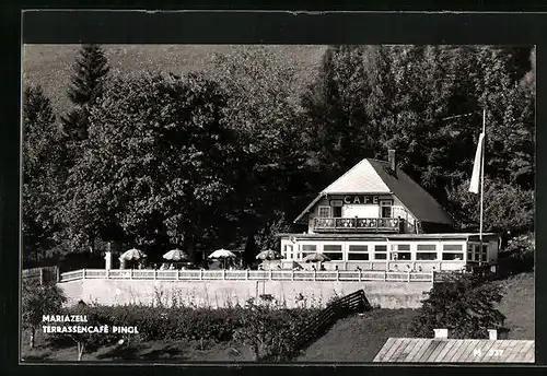 AK Mariazell, Terrassencafé Pingl