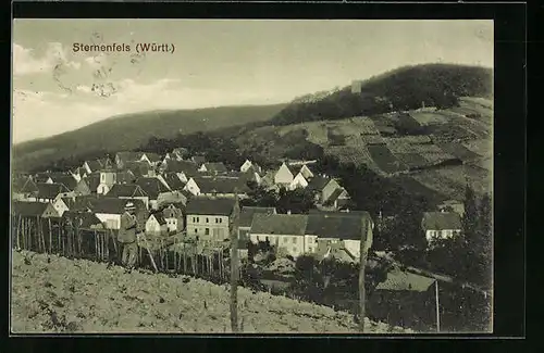 AK Sternenfels / Württ., Panorama