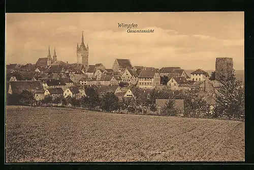 AK Wimpfen, Gesamtansicht vom Feld aus