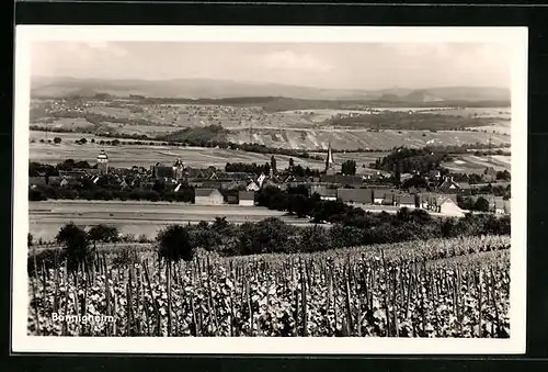 AK Bönnigheim, Blick vom Weinberg auf die Ortschaft