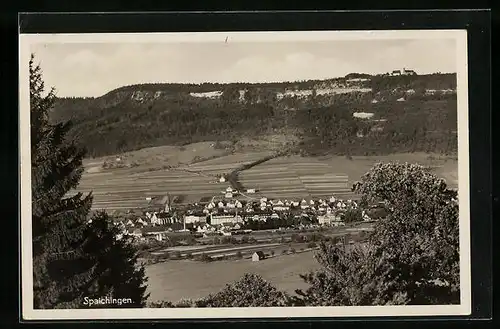 AK Spaichingen, Blick vom Wald auf die Stadt im Tal