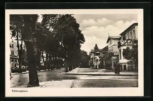 AK Kühlungsborn, auf der Strasse vor den Stadtvillen