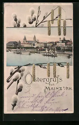 AK Mainz, Totale mit Rheindampfer
